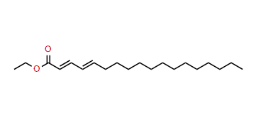 Ethyl octadecadienoate